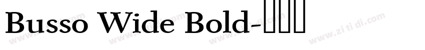 Busso Wide Bold字体转换